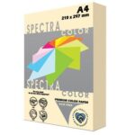 Χαρτί 80 γρ. Α4 500 Φύλλων Παλ Χρώματα