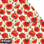 Χαρτόνι Fabi 50x70 Διάφορα Σχέδια